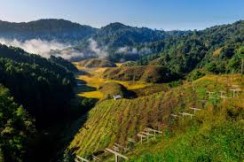 Trip to ziro valley from delhi
