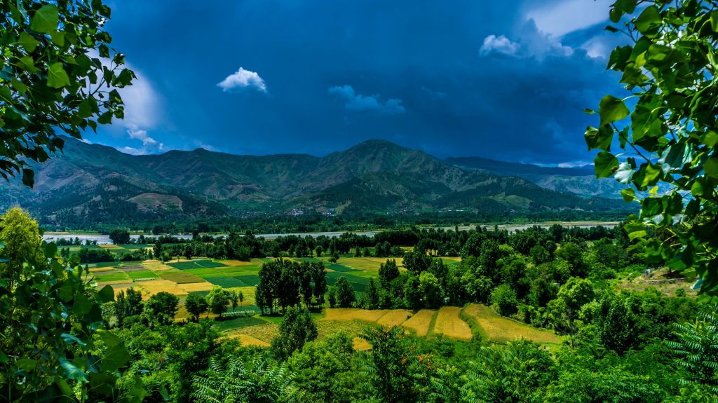 Trip to ziro valley from delhi