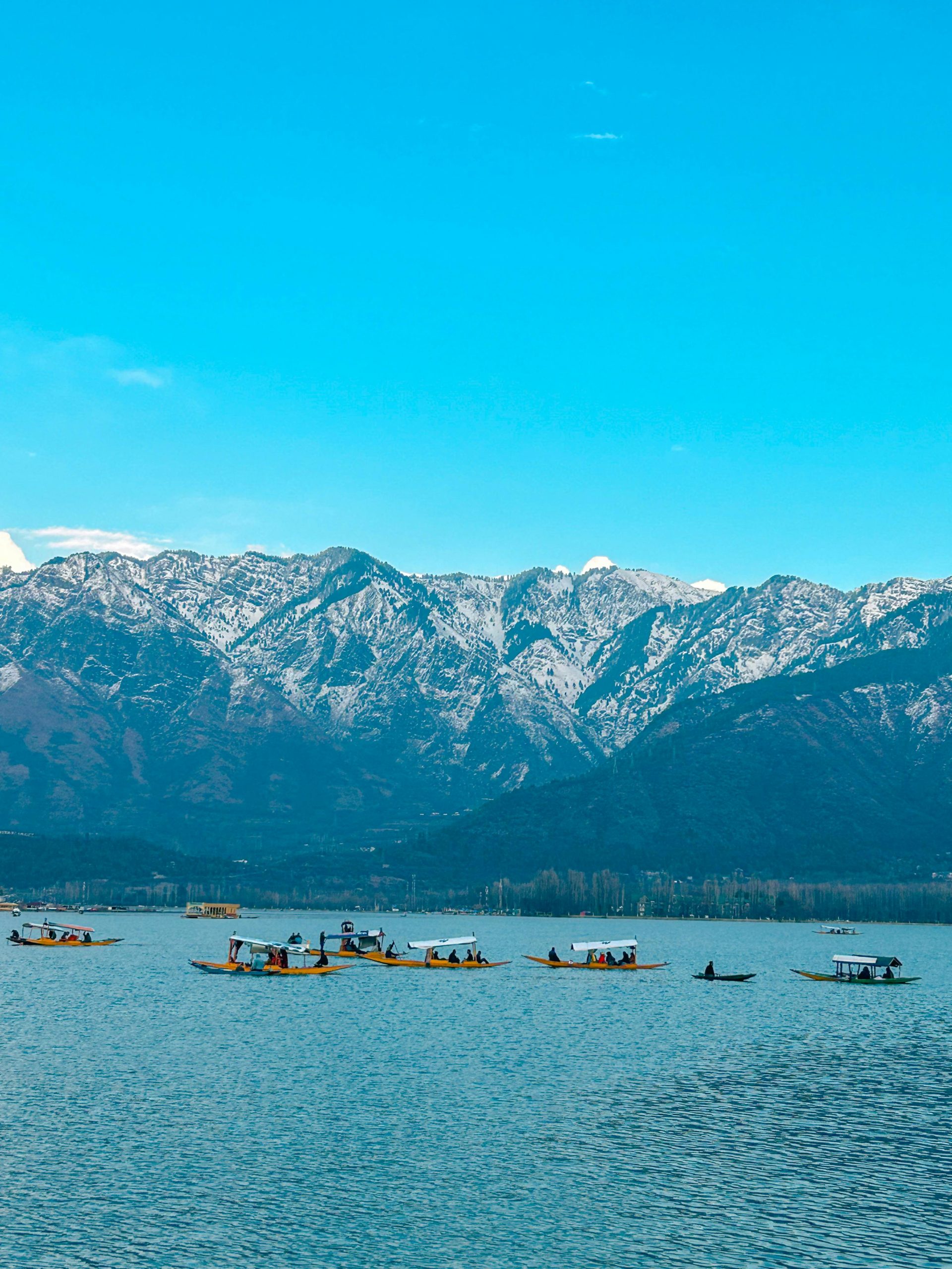Colorful shikaras float on Dal Lake against the stunning snow-capped Himalayas in Srinagar.